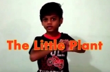 The Little Plant Poem with Action